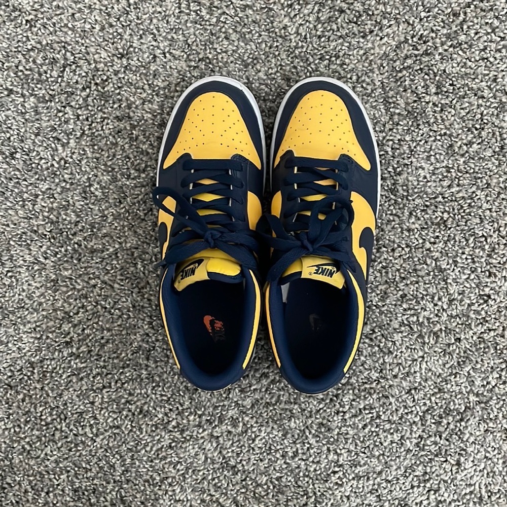Michigan Dunks